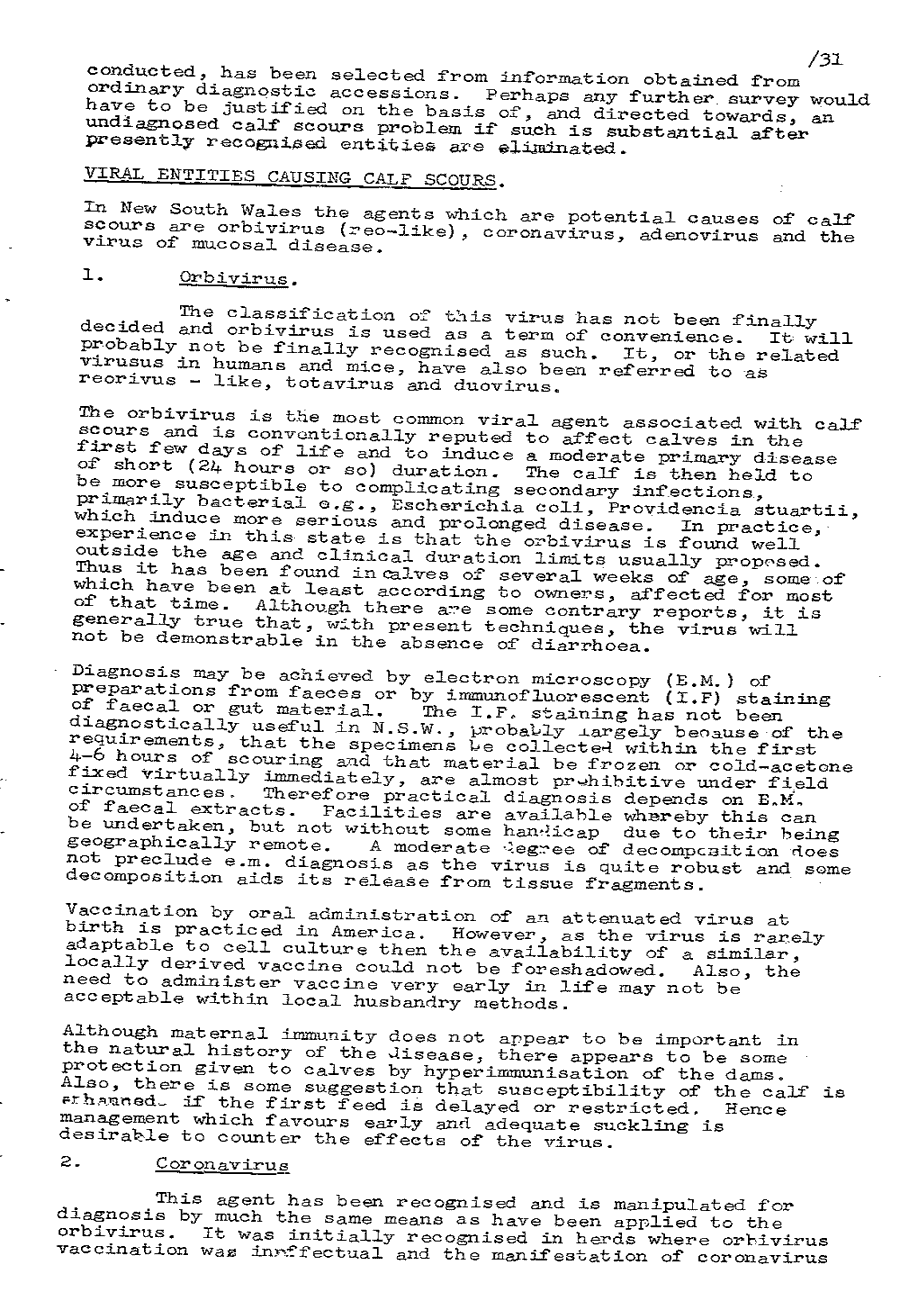 1975 page 31